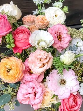 Meet your Posher, Green Country!